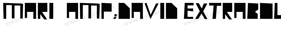MARI&DAVID EXTRABOLD字体转换